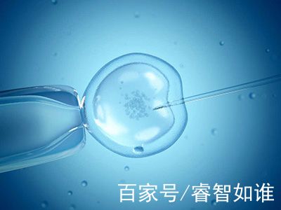 景泰胚胎实验室